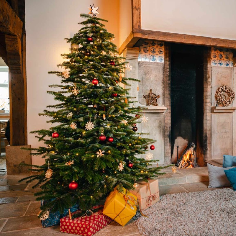 Künstlicher Weihnachtsbaum "Keinachtsbaum" von Treelivery