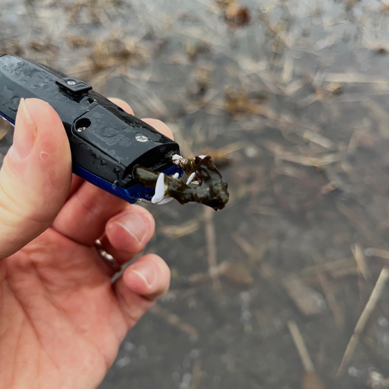 Ferngesteuertes Boot: "Mini RC" von Revell Control im Review von Revell Control ©https://dadslife.de