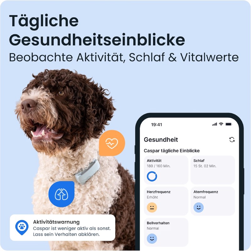 GPS Tracker Hund: "2025 Edition" von Tractive im Review von Tractive