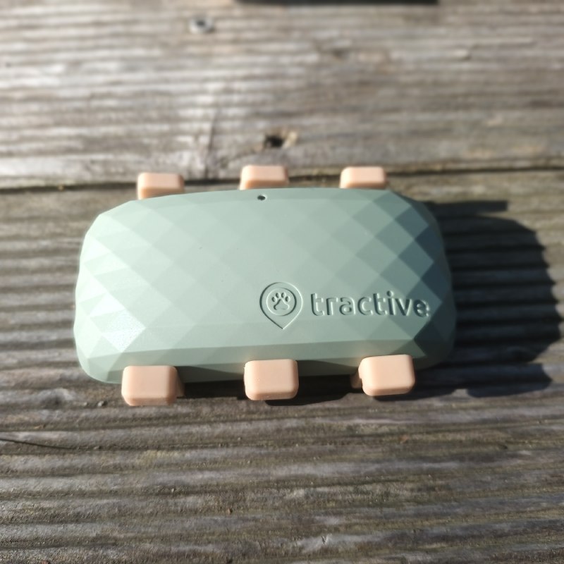 GPS-Tracker für große Hunde "DOG XL" von Tractive ©https://dadslife.de