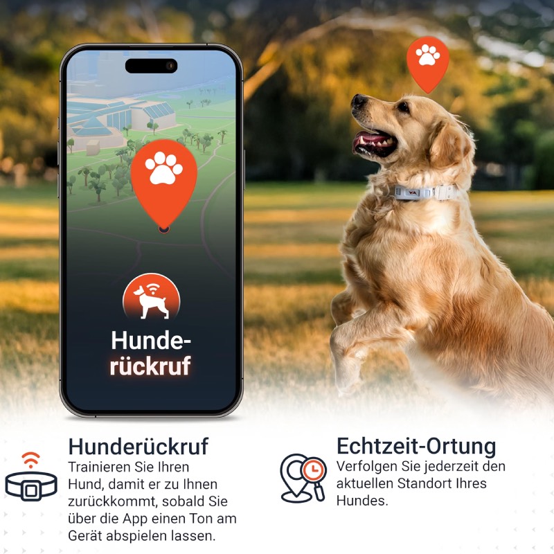 GPS Tracker für Hunde: "Pet Finder 4G" von PAJ GPS im Review von PAJ GPS