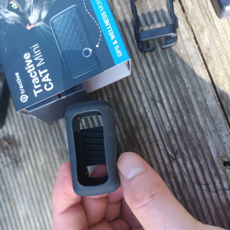 GPS-Tracker für Katzen "CAT Mini" von Tractive ©https://dadslife.de