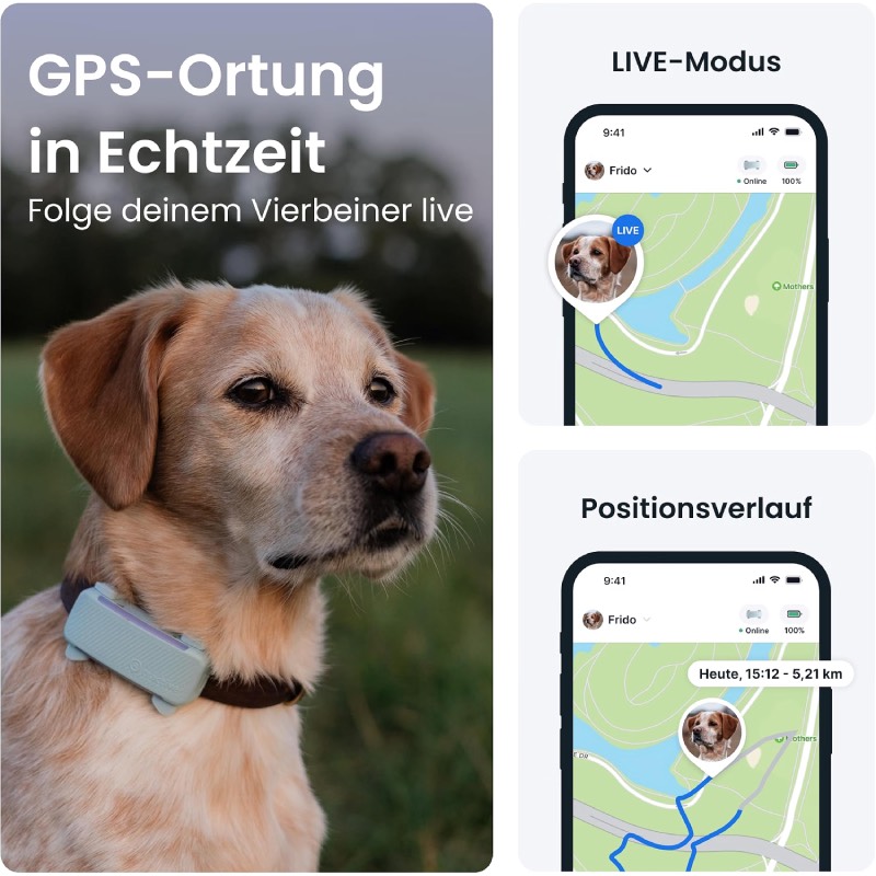 GPS Tracker Hund: "2025 Edition" von Tractive im Review von Tractive