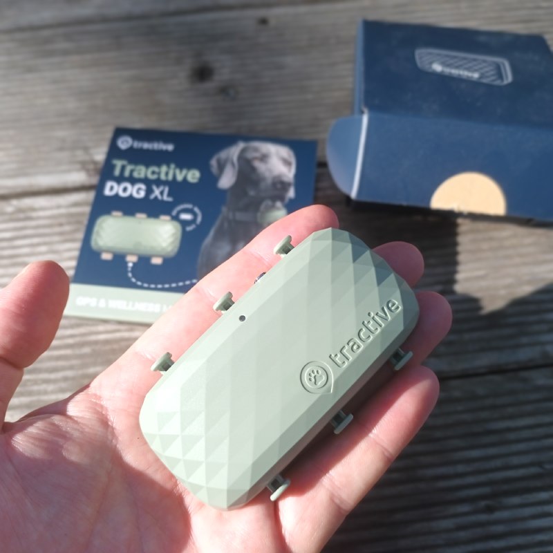 GPS-Tracker für große Hunde "DOG XL" von Tractive ©https://dadslife.de