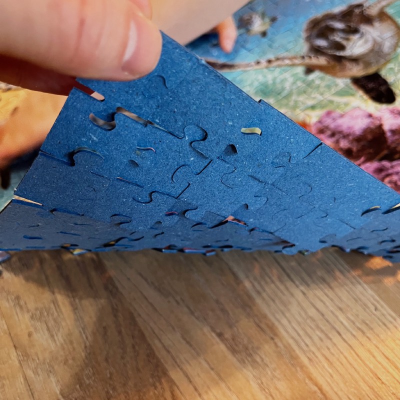 Familienpuzzle: "Meeresschildkröten (500 Teile)" von Ravensburger im Review von Ravensburger ©https://dadslife.de