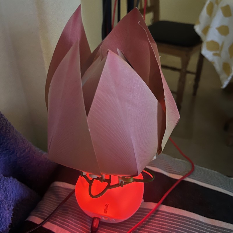 Experimentierkasten: "Robotic Flower" von Kosmos im Review von Kosmos ©https://dadslife.de