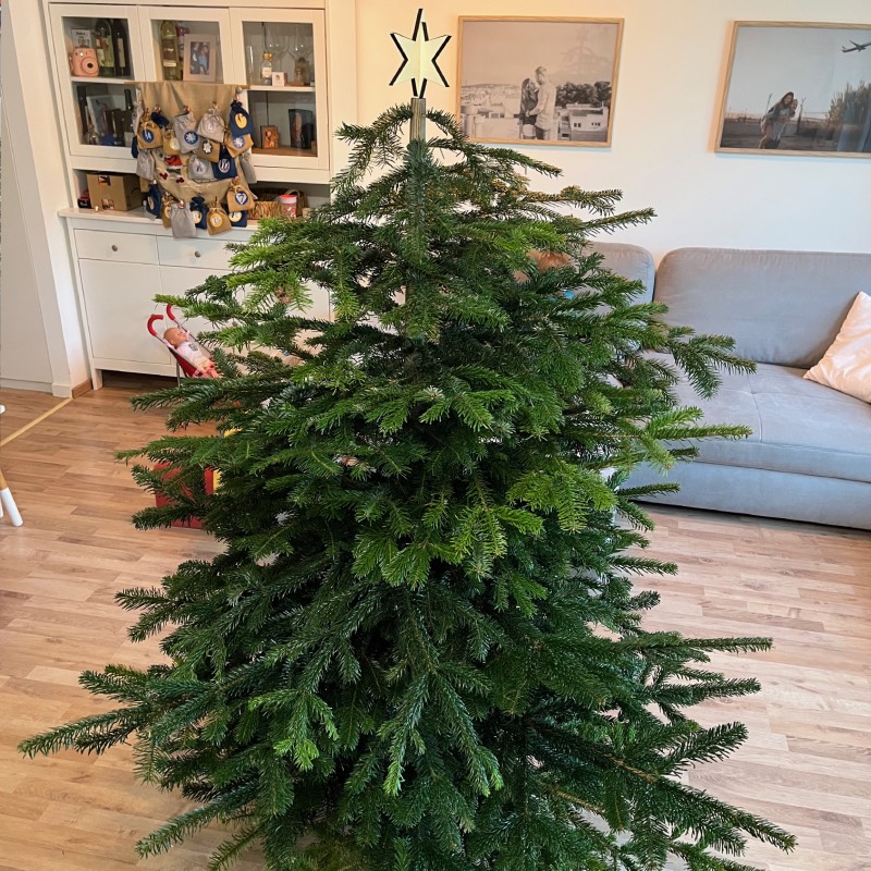 Künstlicher Weihnachtsbaum "Keinachtsbaum" von Treelivery ©https://dadslife.de