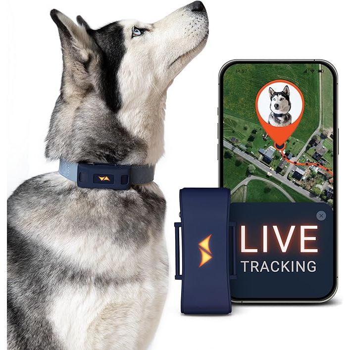 GPS Tracker für Hunde-4G-PAJ GPS