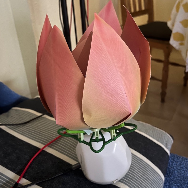 Experimentierkasten: "Robotic Flower" von Kosmos im Review von Kosmos ©https://dadslife.de