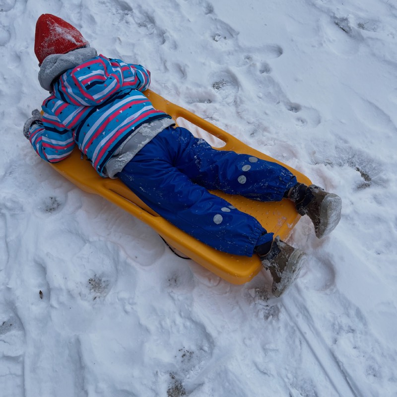 Kunststoff-Bob: "DuckDuck Board" von DuckDuck im Review von DuckDuck ©https://dadslife.de